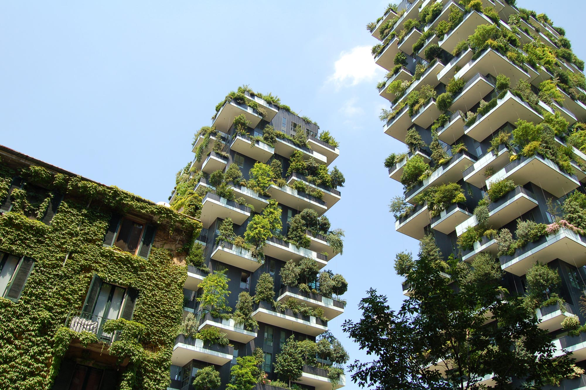 Arquitectura sostenible